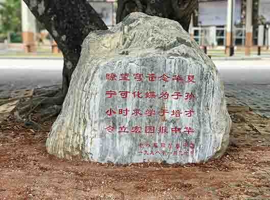 湛江校园景观石